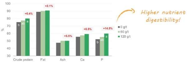 Digestibility – the link between gut integrity, performance and health - Image 2