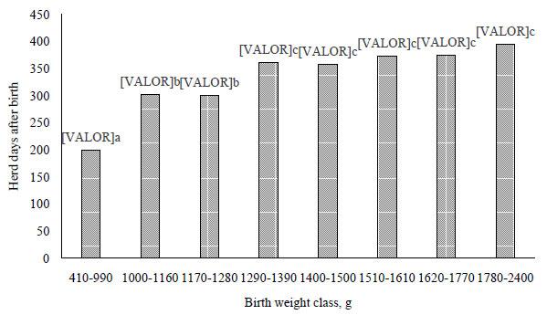 The number of herd days according to the birth weight of female swine. Days counted are from birth onwards, including all female piglets weighed at birth (n = 1495). Bars with one letter in common are not significantly different (P > 0.05) - Magnabosco et al. (2016).
