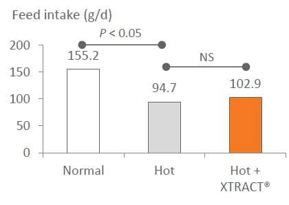 Impact of heat stress on poultry: How to reduce the impact on birds and prevent losses of performances during the summer period? - Image 1