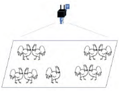 Figure 1 - The camera setting.