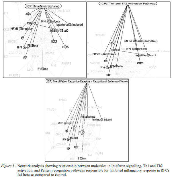 AUSTRALIA - PROTECTIVE MECHANISMS OF REFINED FUNCTIONAL CARBOHYDRATES AGAINST SALMONELLA TYPHIMURIUM INVOLVE INHIBITION OF INFLAMMATORY RESPONSE AND ACTIVATION OF APOPTOSIS RELATED REGULATORS - Image 1