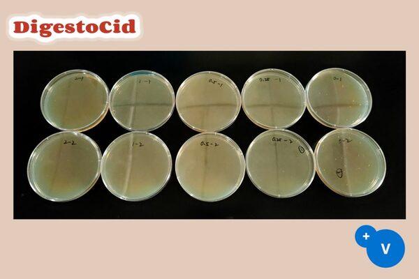 Use of DigestoCid© to eliminate E. Coli from drinking water - Image 3