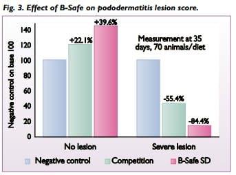 Understanding and managing poultry gut microflora safely - Image 3