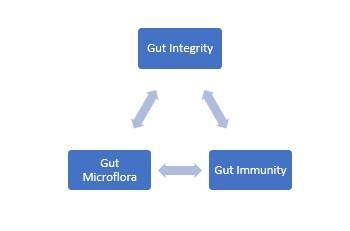 Value `Gut Health´ to help to raise profits - Image 1