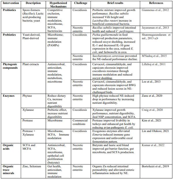 Table 2. Non-pharmaceutical interventions for alleviating necrotic enteritis and coccidiosis in poultry.