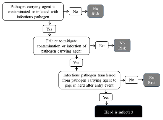 The series of failures required for a carrying agent to carry a pathogen into a herd.