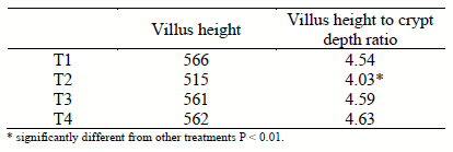 Table 4 - Intestinal architecture.