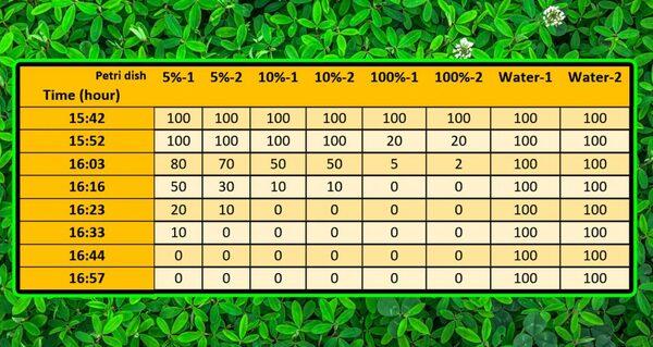 “In vitro” effectiveness of PhytoErad© against red mites - Image 3
