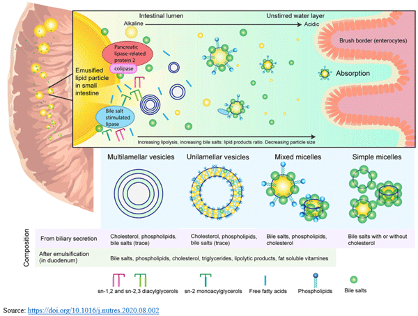 Why Emulsification is Needed: Role of Surfactants / Emulsifiers - Image 4