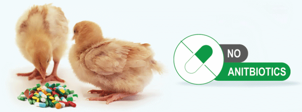 Decreasing trend of feed antibiotics