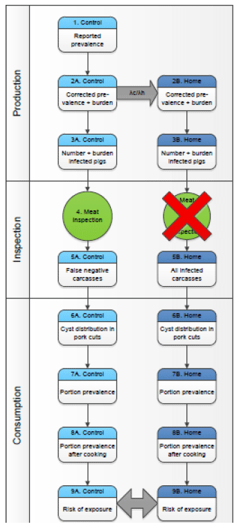 Figure 3. Conceptual risk chain of Taenia solium exposure (Meester, Swart et al. 2019).