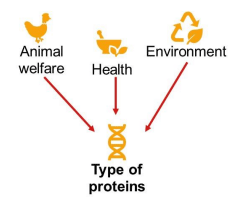 Figure 1. Attributes that affect the choice of a protein by consumers. Source author.