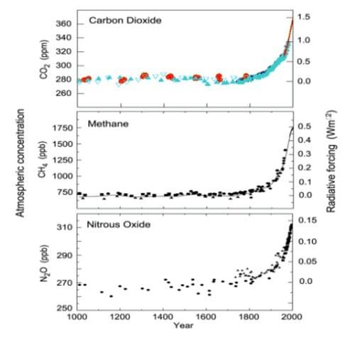 Greenhouse Gases: Are Dairy Cows to Blame? - Image 1