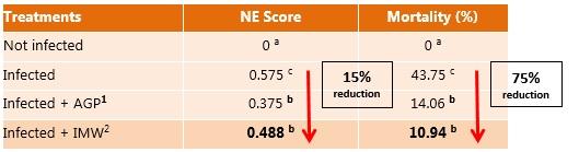 Coccidiosis and necrotic enteritis: Prevention is the best option - Image 4