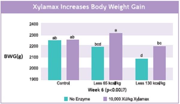 The effect of supplementing xylanase (Xylamax) on performance of commercial broilers fed decreasing levels of metabolizable energy - Image 3