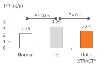 Impact of heat stress on poultry: How to reduce the impact on birds and prevent losses of performances during the summer period? - Image 3