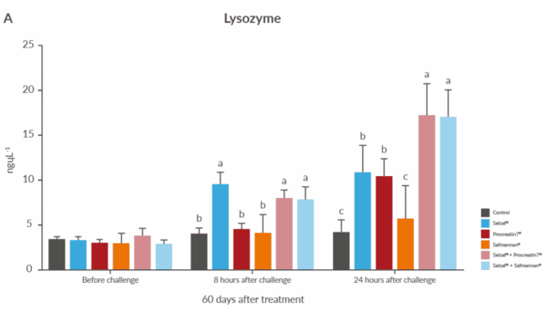 Boosting tilapia performance - Image 2