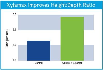 The Effects of Xylanase on Poultry Gut Health - Image 5