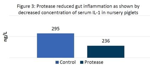 Alleviating Soybean Allergenic Proteins Hindering Nursery Performance - Image 3