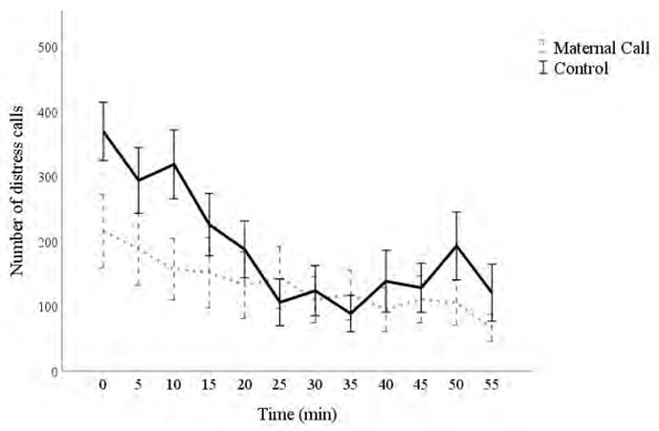 Figure 1. - The mean number of distress vocalizations (± SEM) from chicks during the anxiety-depression model test. Results are presented in 5-minute increments for chicks receiving maternal feed calls (grey dashed line) or white noise (black solid line) from day old.