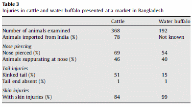 Amena-Animal Welfare at Markets and During Transport and Slaughter - Image 3