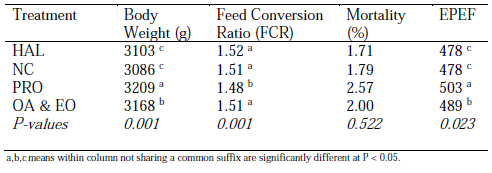 Table 1 - Body Weight (g), FCR, Mortality (%) and EPEF results by treatment group at 42 days of age.