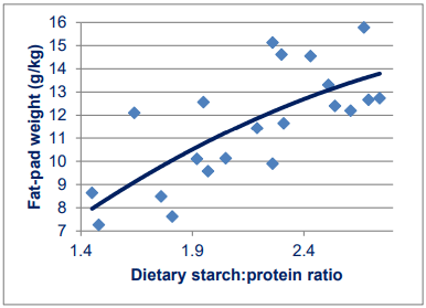Figure 2 Quadratic relationship (r = 0.729; P < 0.001) between analysed dietary starch:protein ratios and relative abdominal fat-pad weights in broiler chickens offered maize-based diets across three studies (Chrystal et al., 2020abc) involving 21 observations where: y = 10.24*ratio + 1.3647*ratio2 - 4.0194