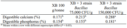 Table 3 - Effects of a 3-strain Bacillus and XB inclusion on ileal digestible calcium and phosphorus at 28 days. 