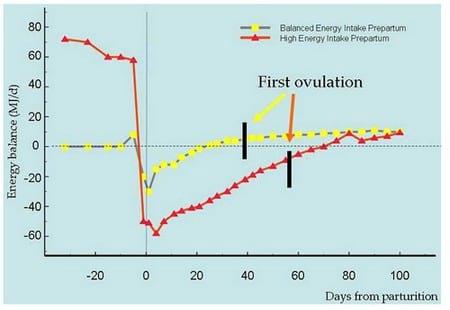 Reproductive Performance in High-producing Dairy Cows: Can We Sustain it Under Current Practice?- Part II - Image 8