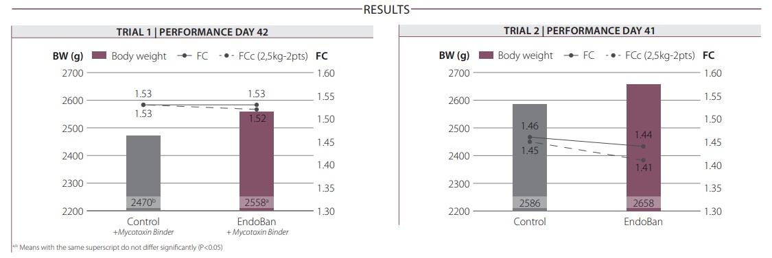 Improving broiler performance with a strategy that reduces the endotoxin related triggering of the immune system. - Image 2