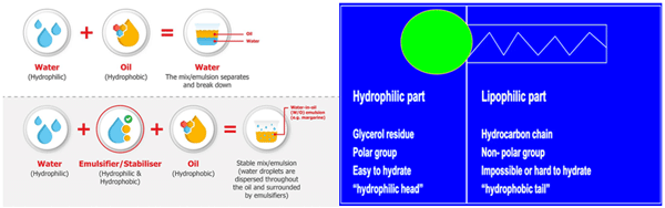 Why Emulsification is Needed: Role of Surfactants / Emulsifiers - Image 1