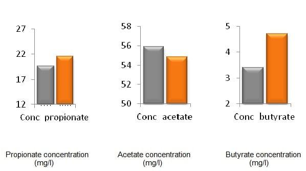 Fast-growing calves thanks to a healthy appetite - Image 5