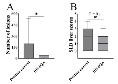 Figure 1 - Summary of the analysis of the livers from the post mortem analysis of the hens of the Short group, euthanised 7 DAE to C. hepaticus (PC and HD-IQA groups only). A, Columns, average number of lesions with SD (error bars). B, Central line on each rectangle, median score; margins of the box, interquartile range; external lines, minimum and maximum values. *, P < 0.05; ns, not significant