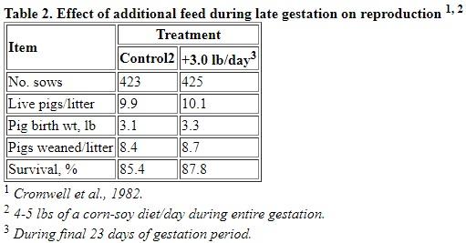 Improving Preweaning Survival of Pigs - Image 2