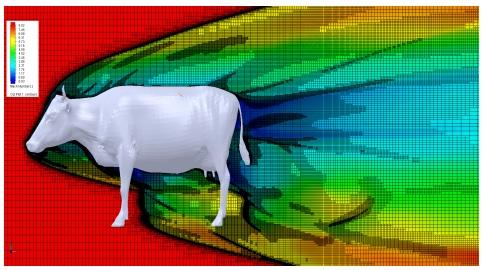 Dairy Cows: Effects of Air Velocity - Image 1