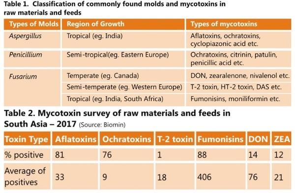 How many mycotoxins should be analyzed in Indian Poultry Feeds and Raw Materials? - Image 4