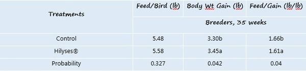 Hilyses: Source of nucleotides in broiler breeder diets - Image 2
