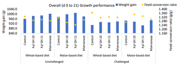 Figure 1 – Necrotic enteritis challenge × grain type × enzyme three-way interactions for overall (d 0 – 21) weight gain (P=0.026) and feed conversion ratio (p=0.001).