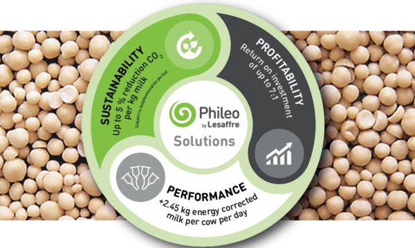 Yeast probiotic offers sustainable dairy production benefits - Image 5