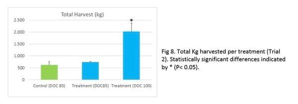 Promising results from field work in Se Asia on preventing White Feces Syndrome in white shrimp using a functional feed additive - Image 9