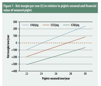 The cost of lost opportunities in sow production - Image 2