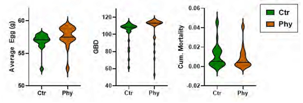 Figure 1 - Average egg mass, average feed intake (GBD = grams/bird/day), and cumulative mortality during the phytogen administration period. Paired weekly data are shown in violin plots.