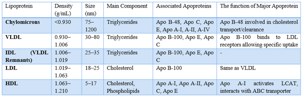 Why Emulsification is Needed: Role of Surfactants / Emulsifiers - Image 8