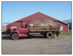 Does Poultry Litter Contain Weed Seeds? - Image 1