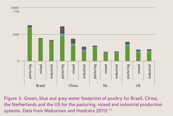 Protecting freshwater with amino-acid enriched animal feed - Image 3