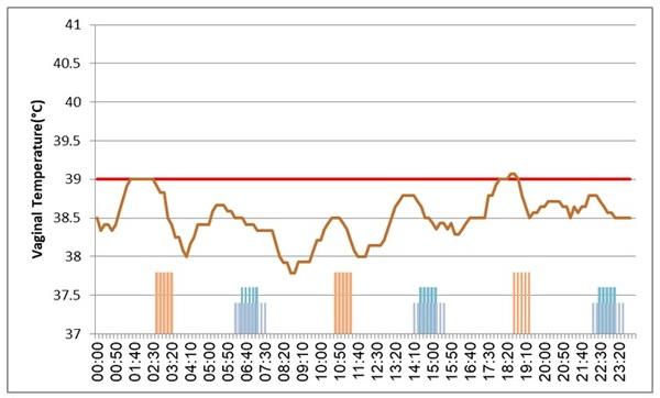 Continuous monitoring of cow