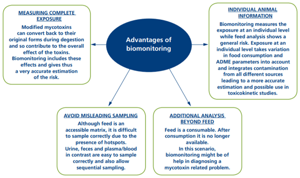 Biomonitoring mycotoxins : A new avenue to measure the impact of toxins on animals - Image 4