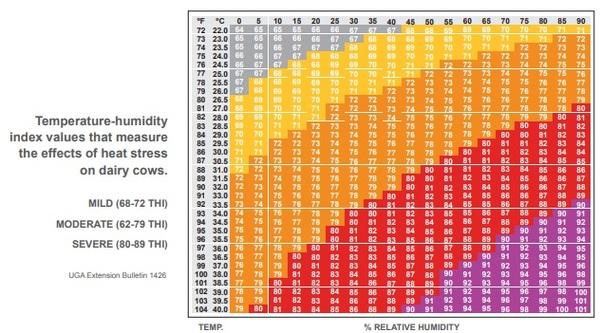 Heat Stress: Handling Cattle Through High Heat Humidity Indexes