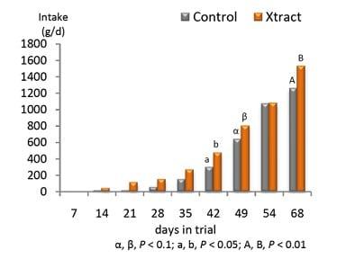 Fast-growing calves thanks to a healthy appetite - Image 3