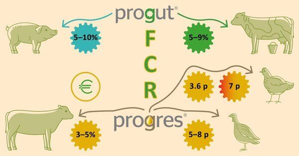 Feed conversion ratio has a major impact on feeding costs in all situations - Image 2